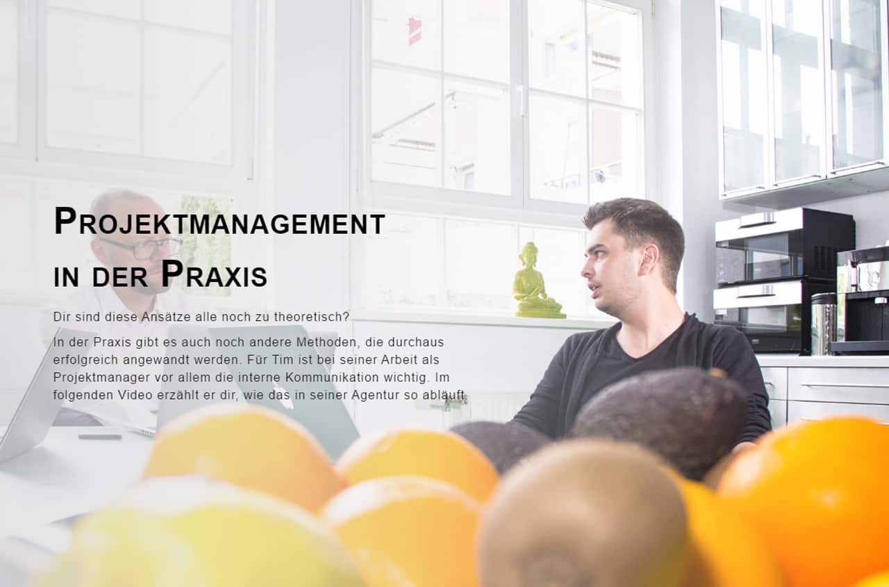 Berufsbild Projektmanager